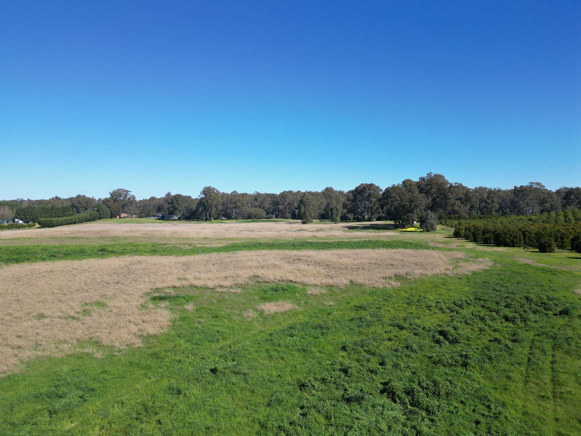 74 Quicks Road, Barooga For Sale by Farmbuy.com - image 11