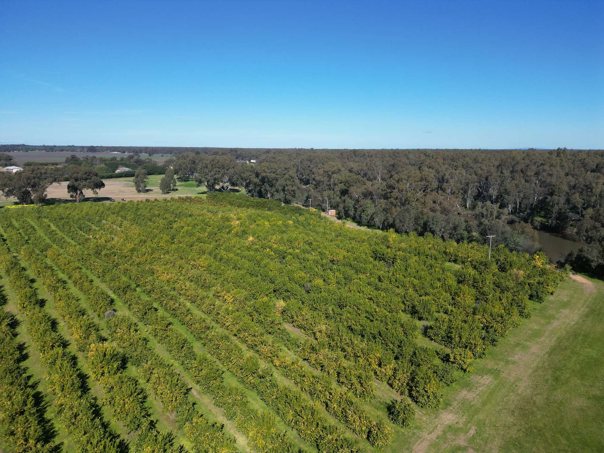 74 Quicks Road, Barooga For Sale by Farmbuy.com - image 15