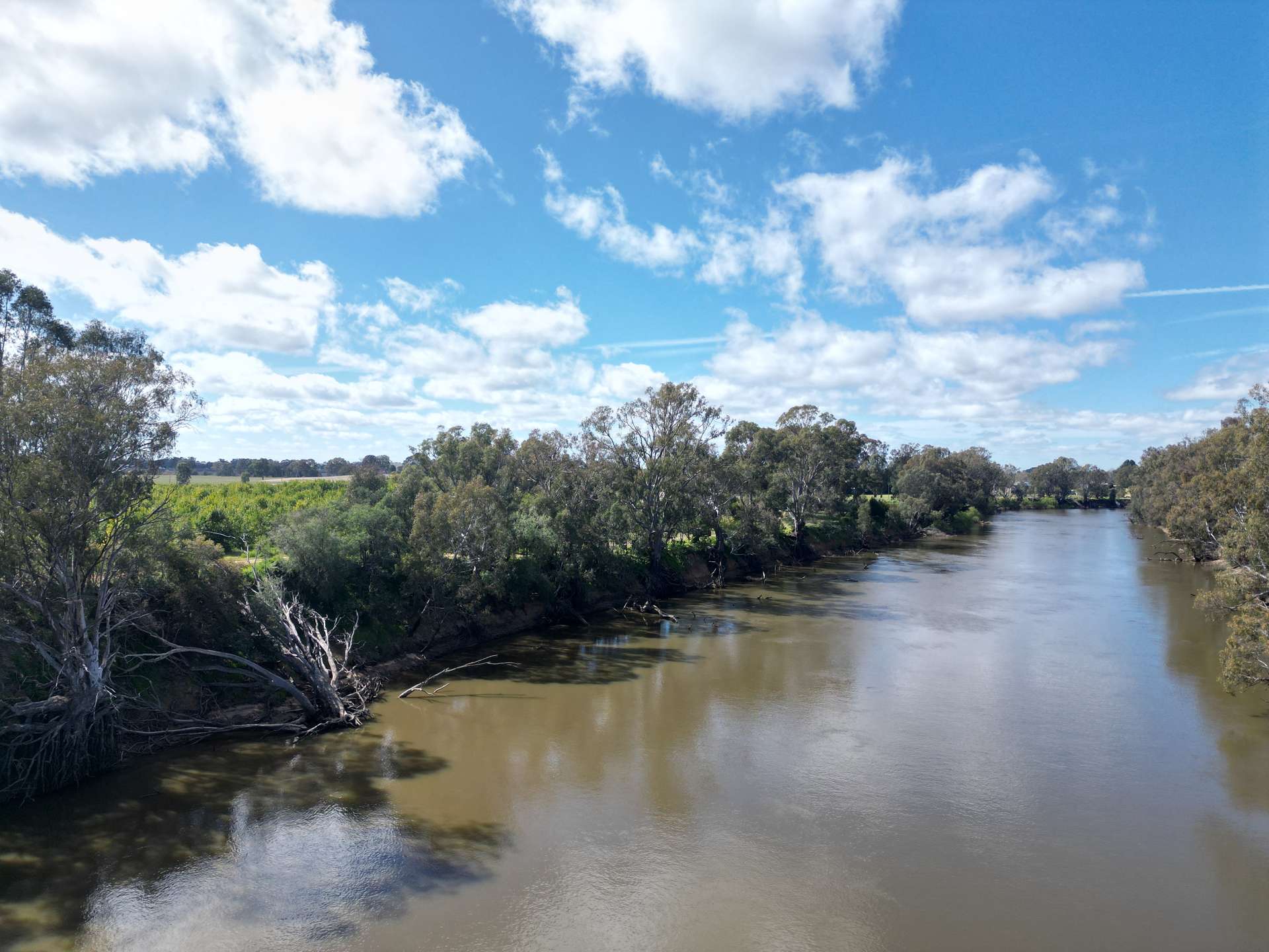 74 Quicks Road, Barooga For Sale by Farmbuy.com - image 7