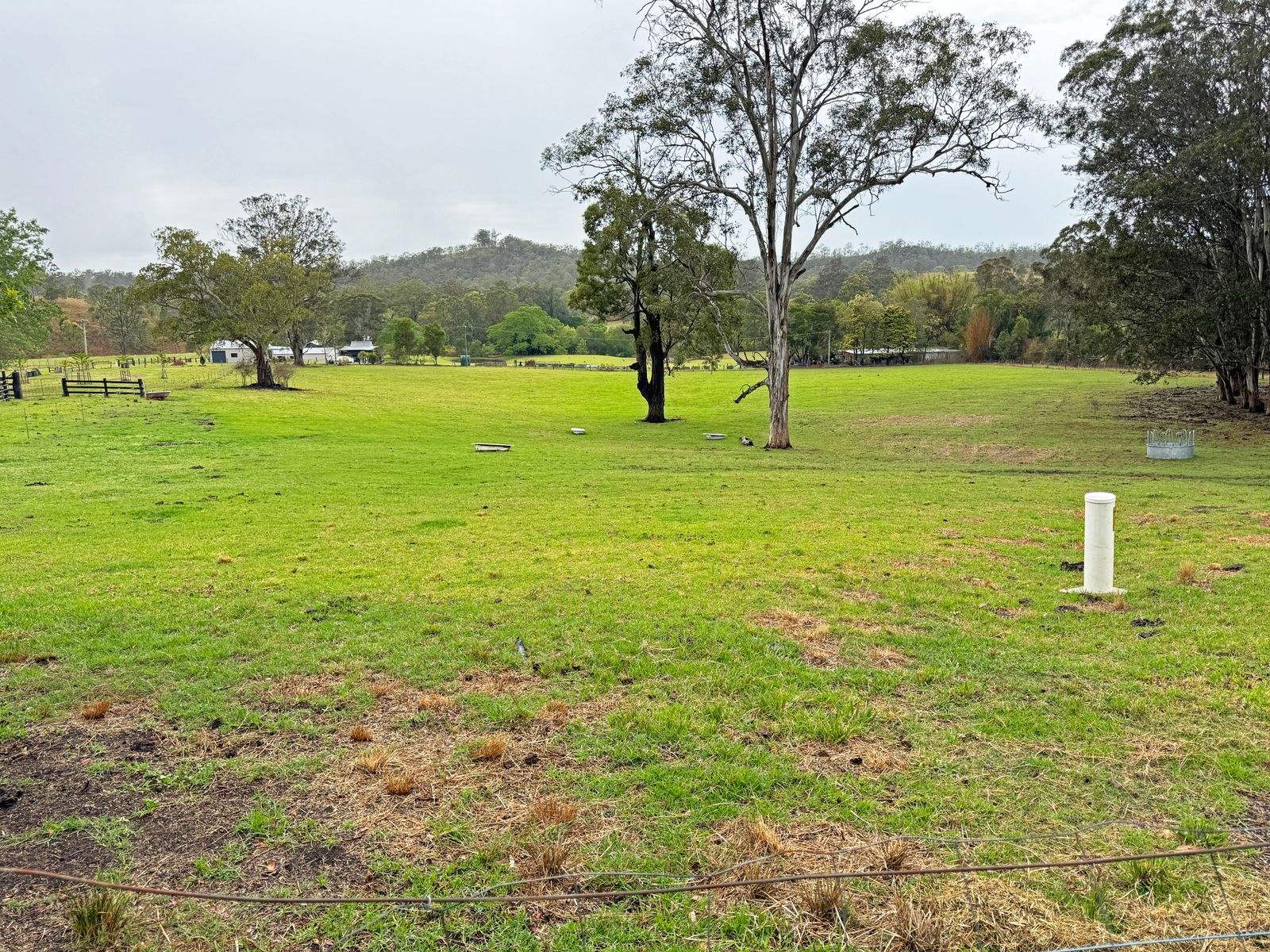 91 Lochinvar Road, Wherrol Flat For Sale by Farmbuy.com - image 21