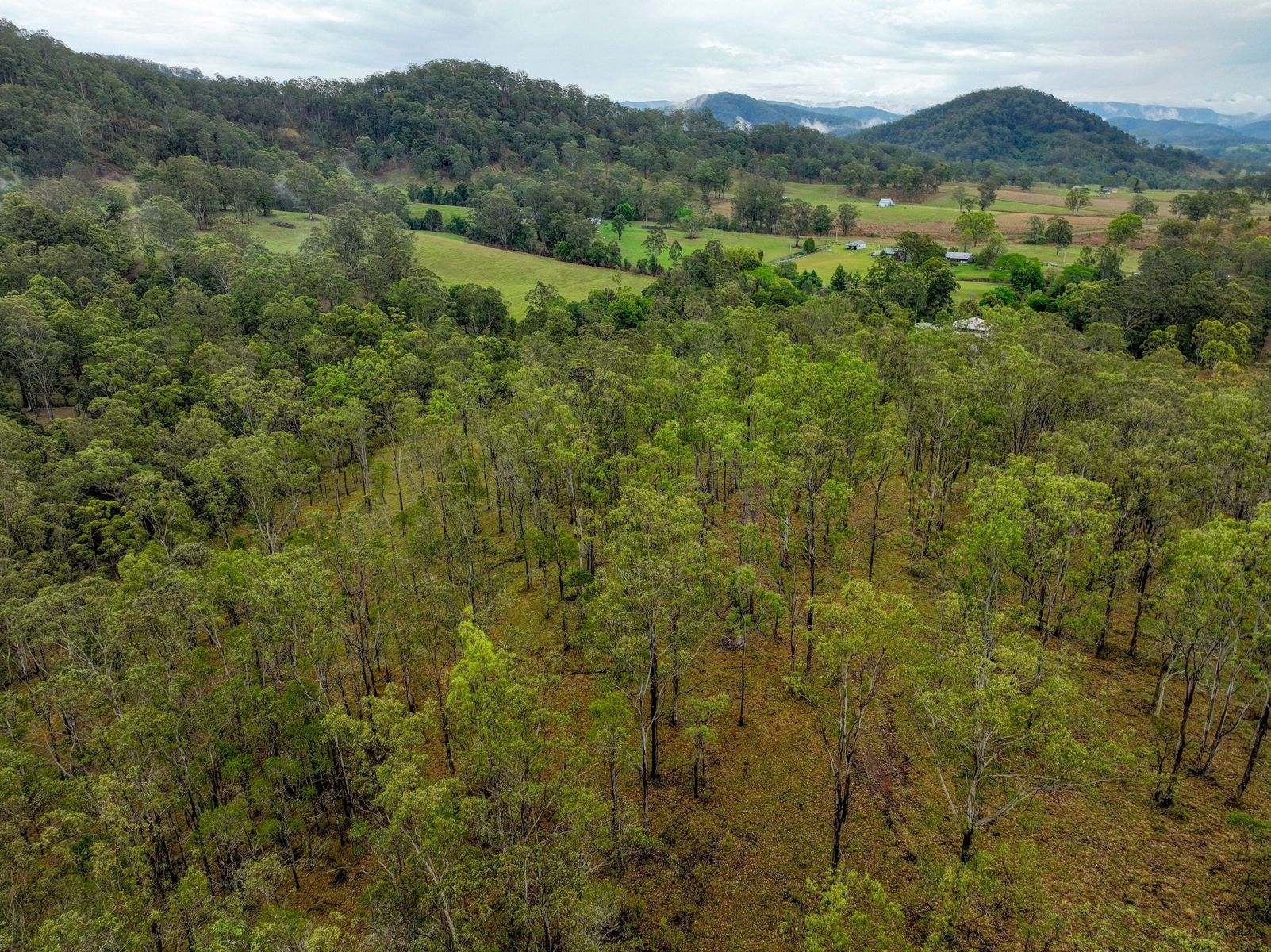 91 Lochinvar Road, Wherrol Flat For Sale by Farmbuy.com - image 11