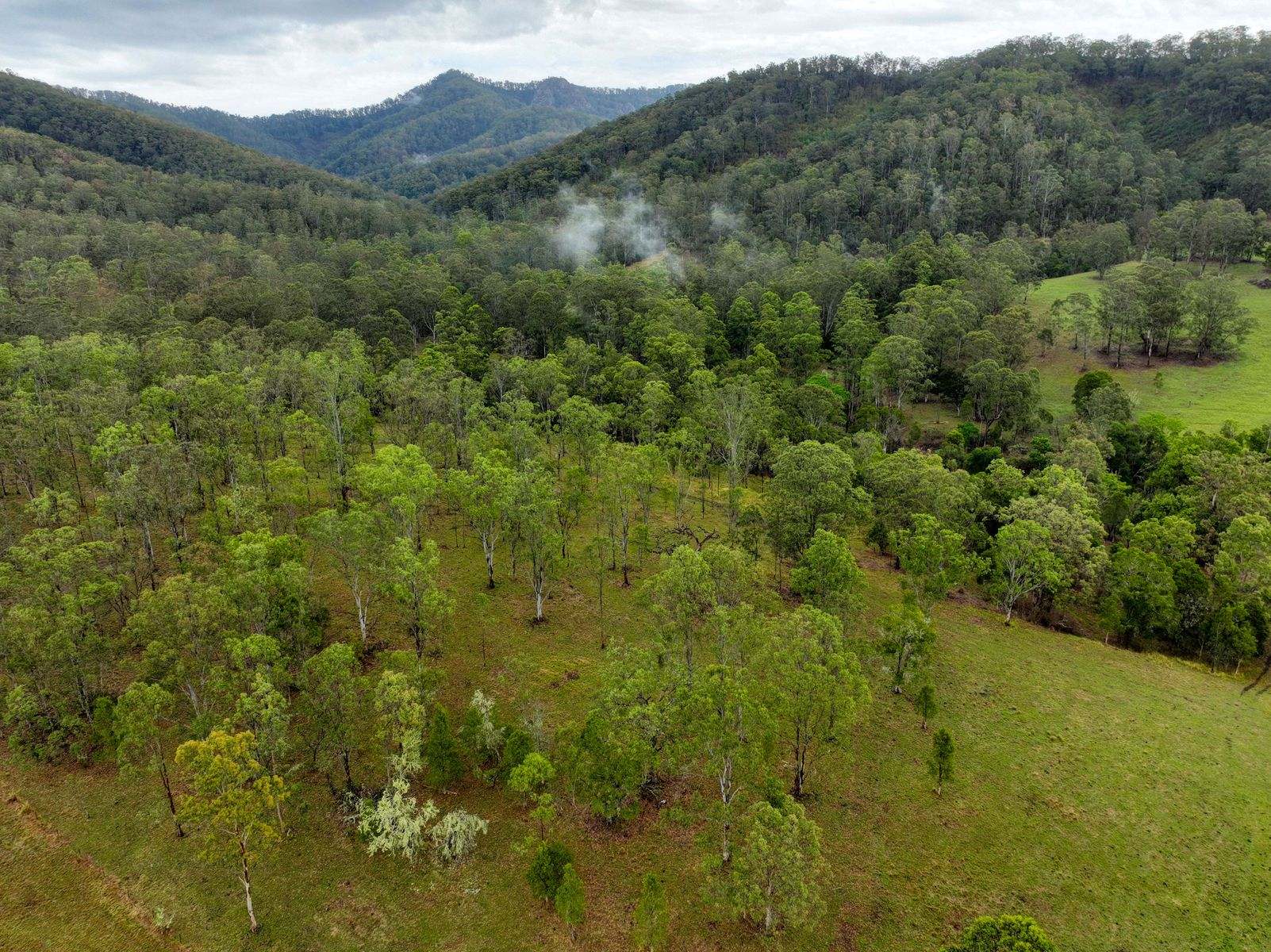 91 Lochinvar Road, Wherrol Flat For Sale by Farmbuy.com - image 28