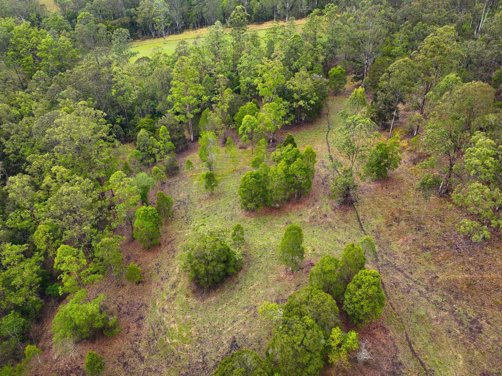 91 Lochinvar Road, Wherrol Flat For Sale by Farmbuy.com - image 10