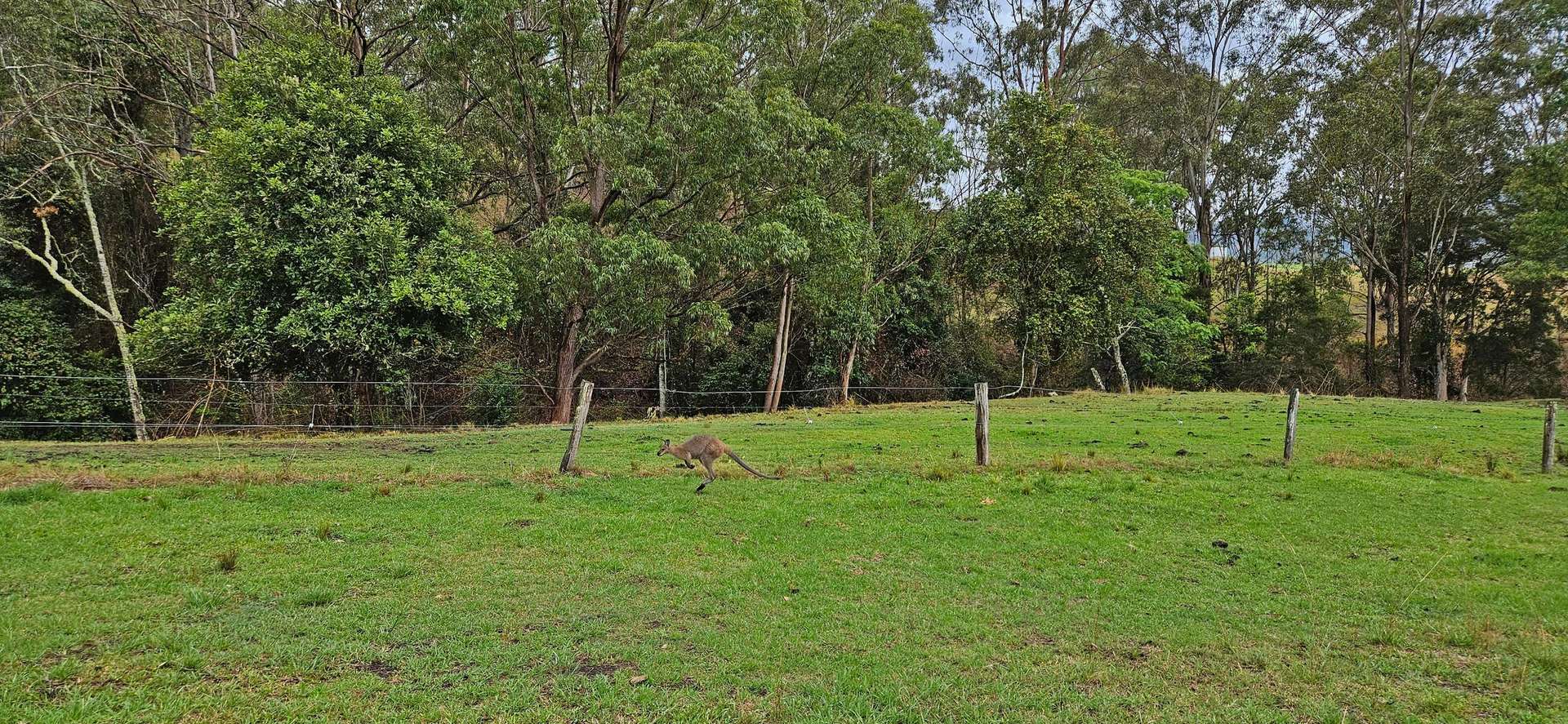 91 Lochinvar Road, Wherrol Flat For Sale by Farmbuy.com - image 8