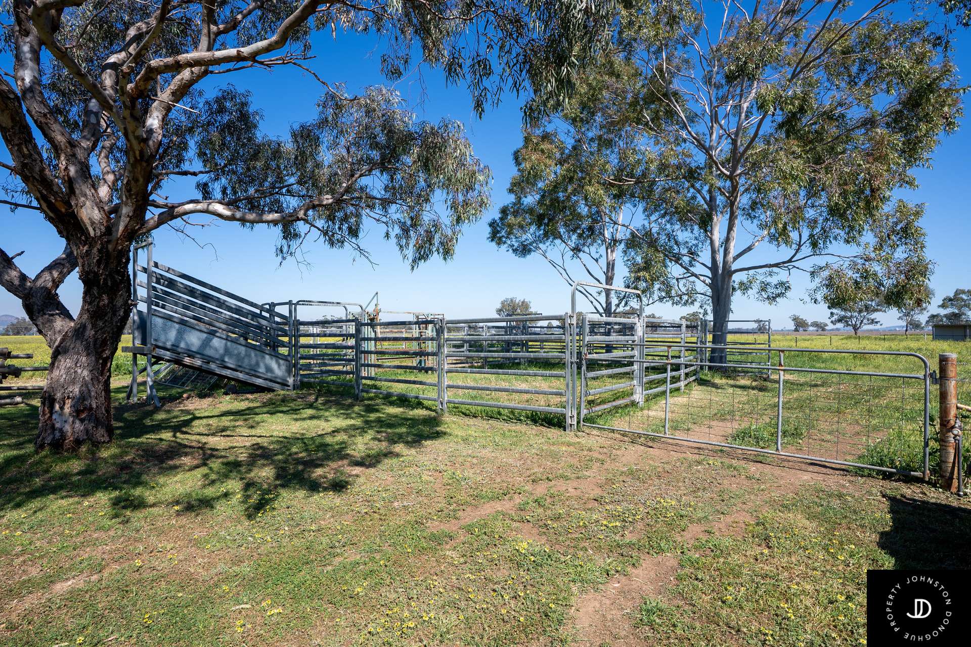 11058 Kamilaroi Highway, Gunnedah For Sale by Farmbuy.com - image 6