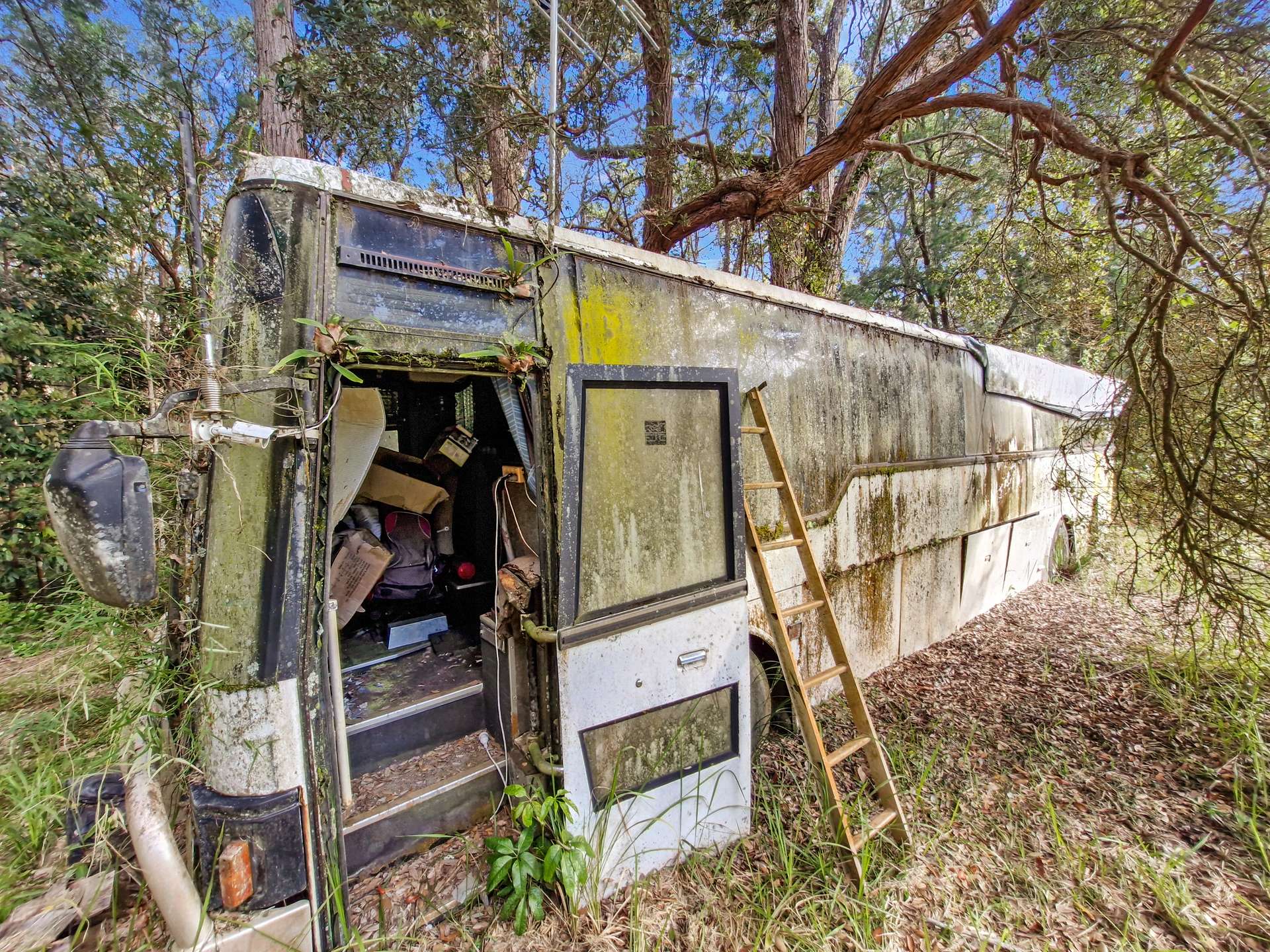 189 Byers Road, Wondecla For Sale by Farmbuy.com - image 23