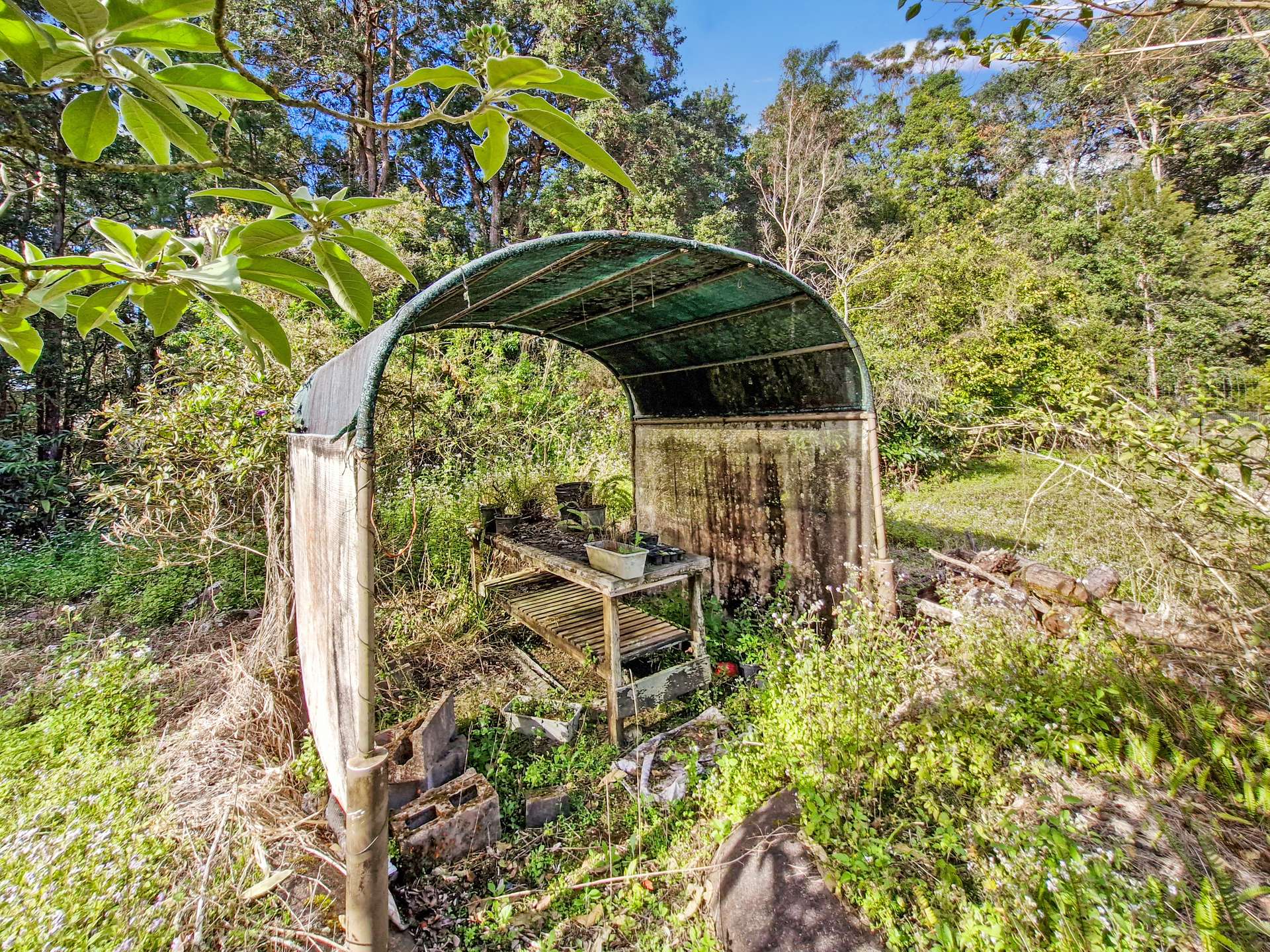 189 Byers Road, Wondecla For Sale by Farmbuy.com - image 22