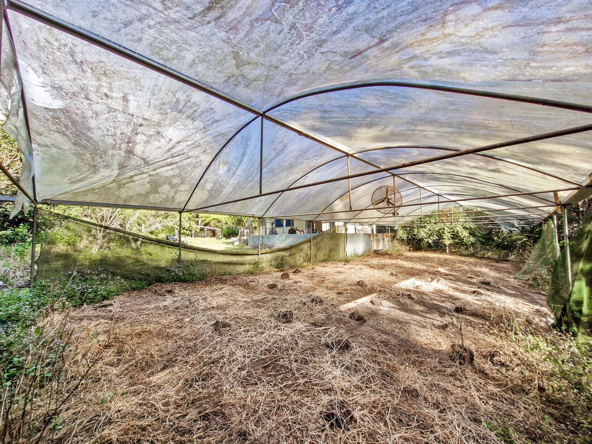 189 Byers Road, Wondecla For Sale by Farmbuy.com - image 21