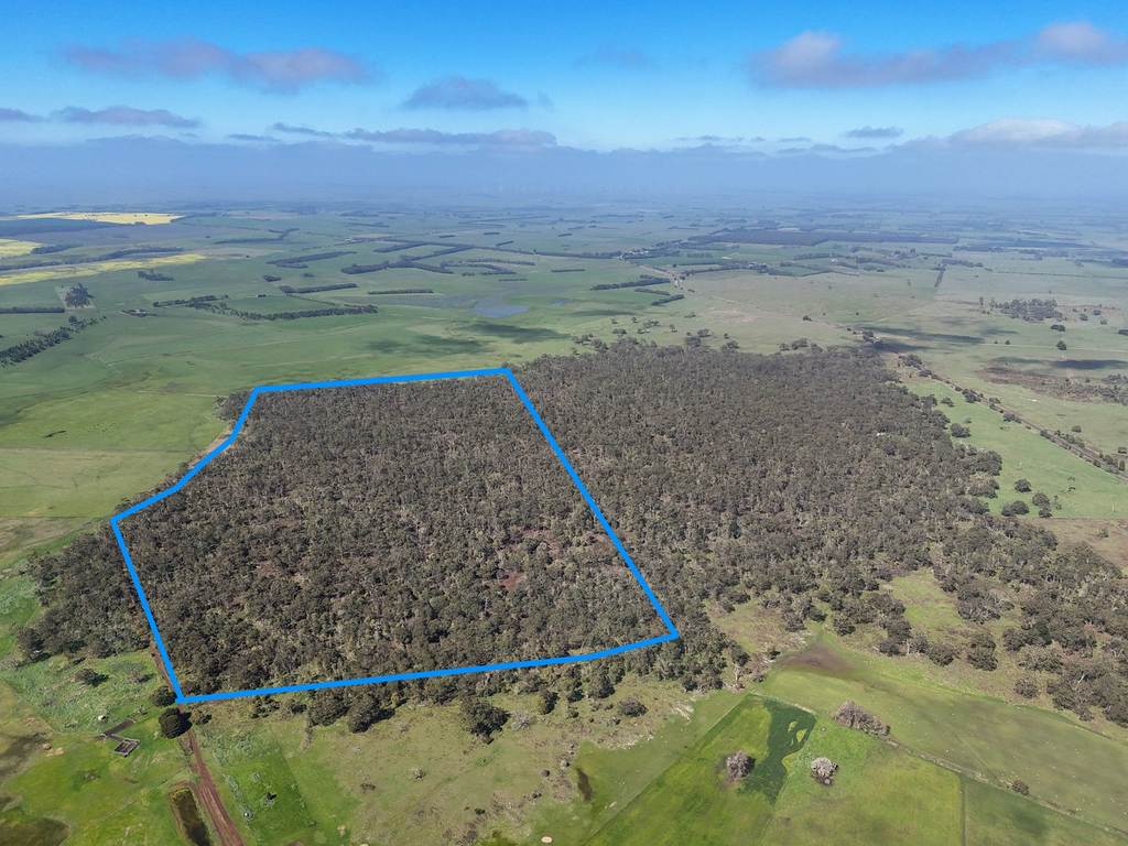 - Delaney's Road, Buckley Swamp VIC 3301