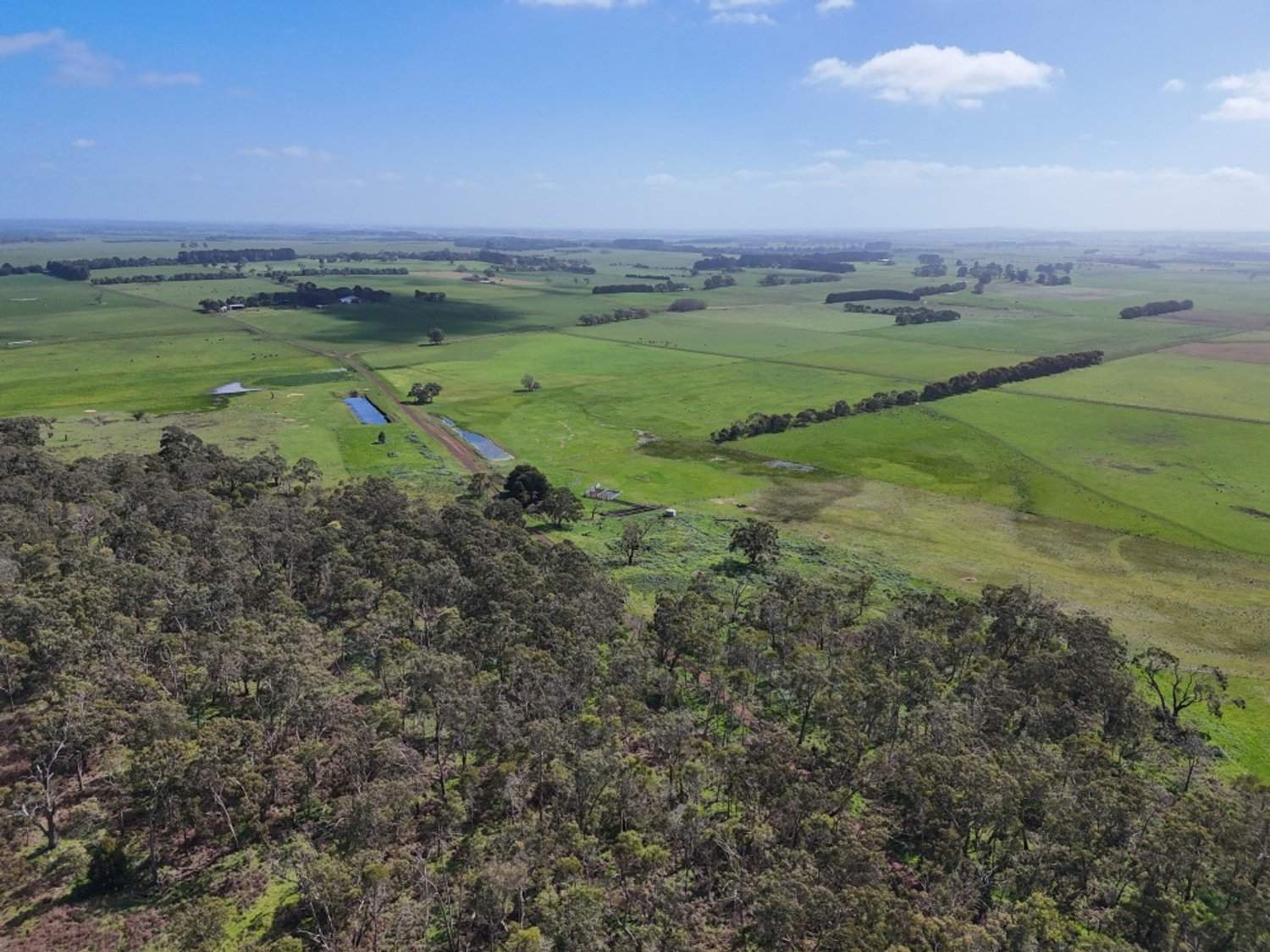 - Delaney's Road, Buckley Swamp For Sale by Farmbuy.com - image 9