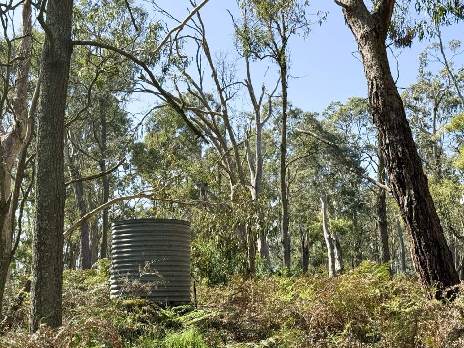 - Delaney's Road, Buckley Swamp For Sale by Farmbuy.com - image 7