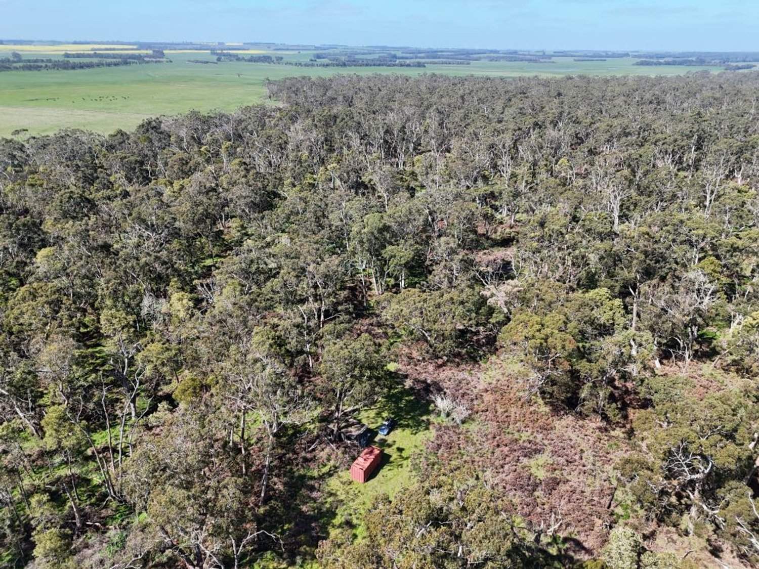 - Delaney's Road, Buckley Swamp For Sale by Farmbuy.com - image 2