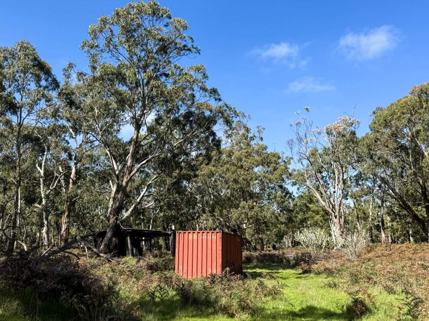 - Delaney's Road, Buckley Swamp For Sale by Farmbuy.com - image 6