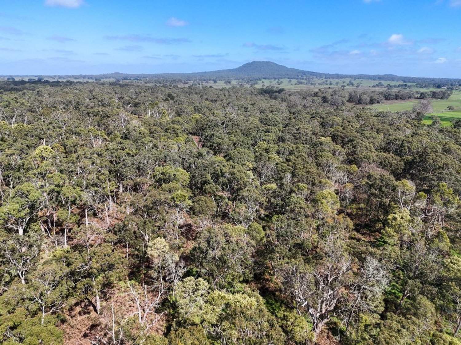 - Delaney's Road, Buckley Swamp For Sale by Farmbuy.com - image 10