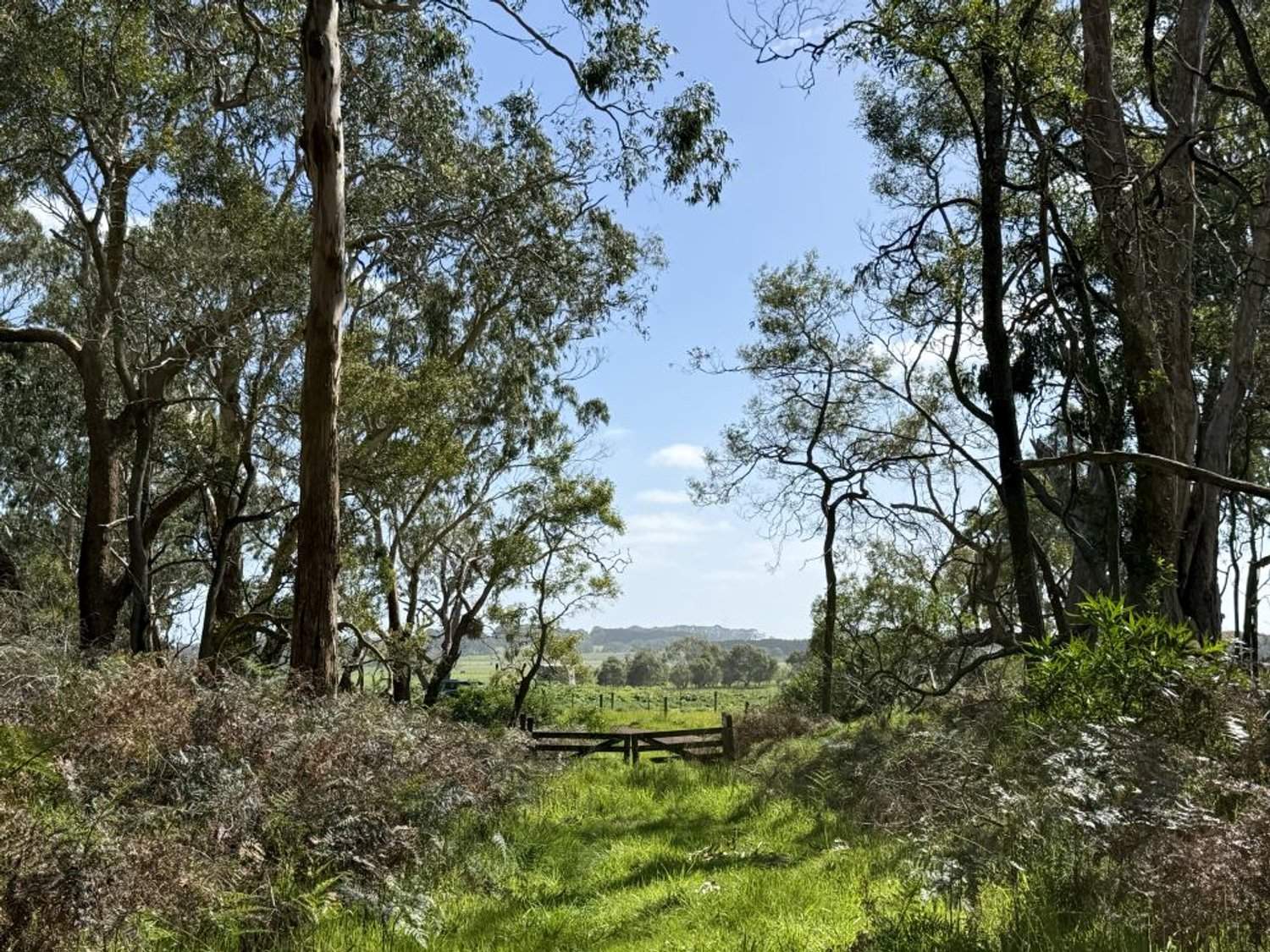 - Delaney's Road, Buckley Swamp For Sale by Farmbuy.com - image 15