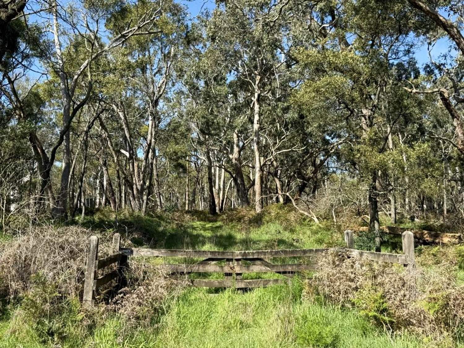 - Delaney's Road, Buckley Swamp For Sale by Farmbuy.com - image 8
