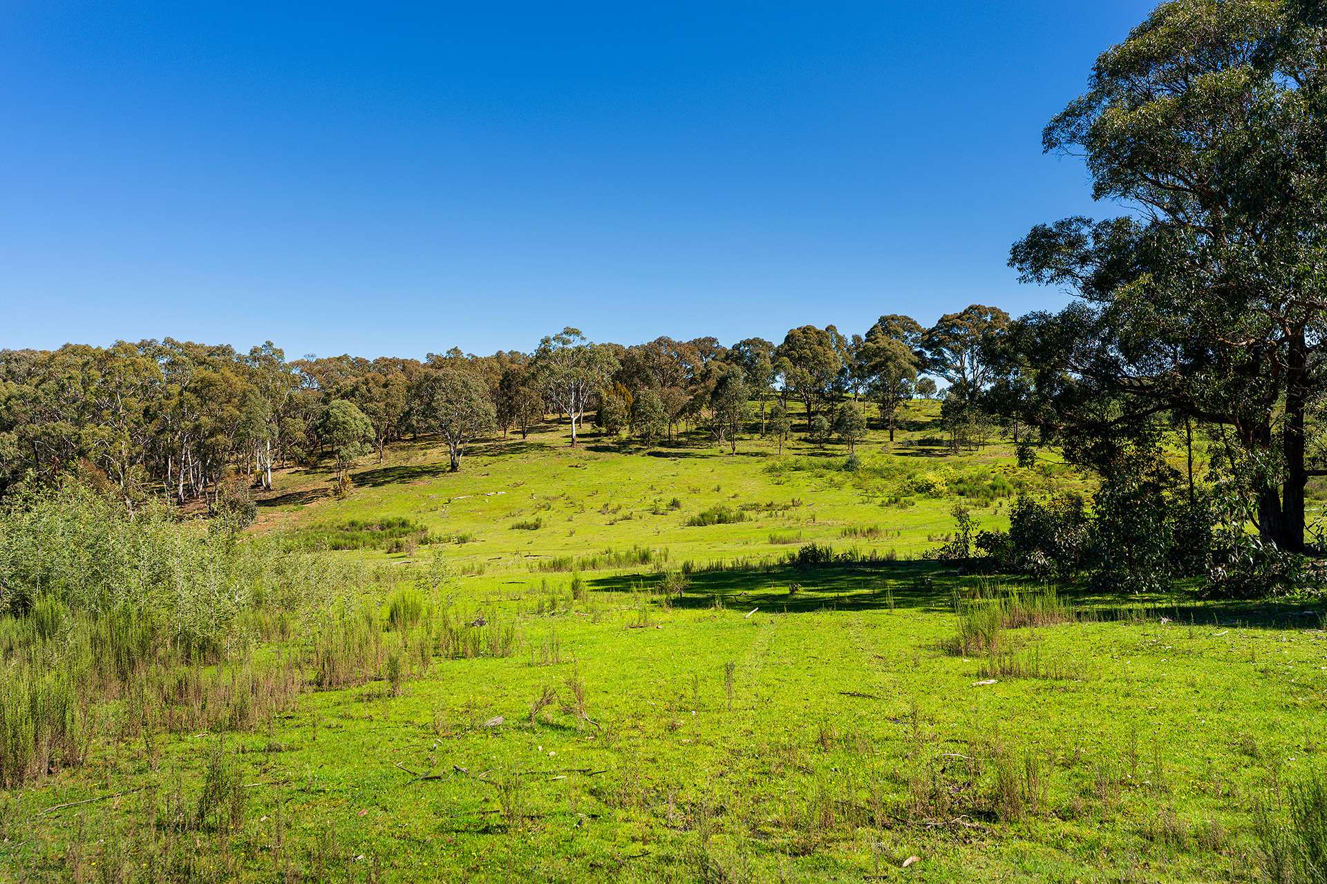 Lot 2, 470 Zig Zag Road, Drummond North For Sale by Farmbuy.com - image 9