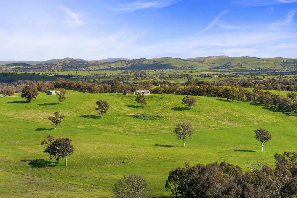 91 Walls Junction Road, Bowning NSW 2582