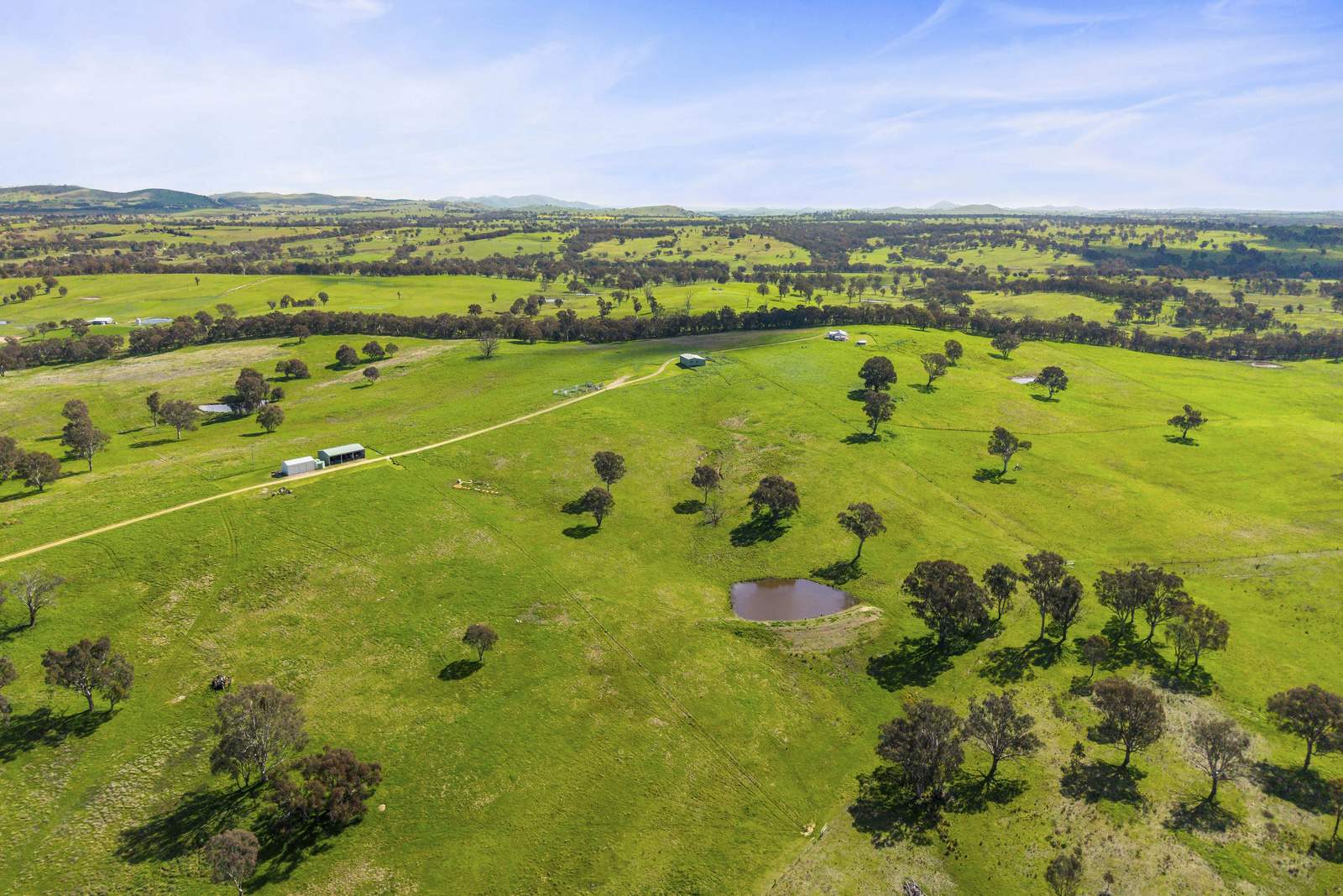 91 Walls Junction Road, Bowning For Sale by Farmbuy.com - image 23