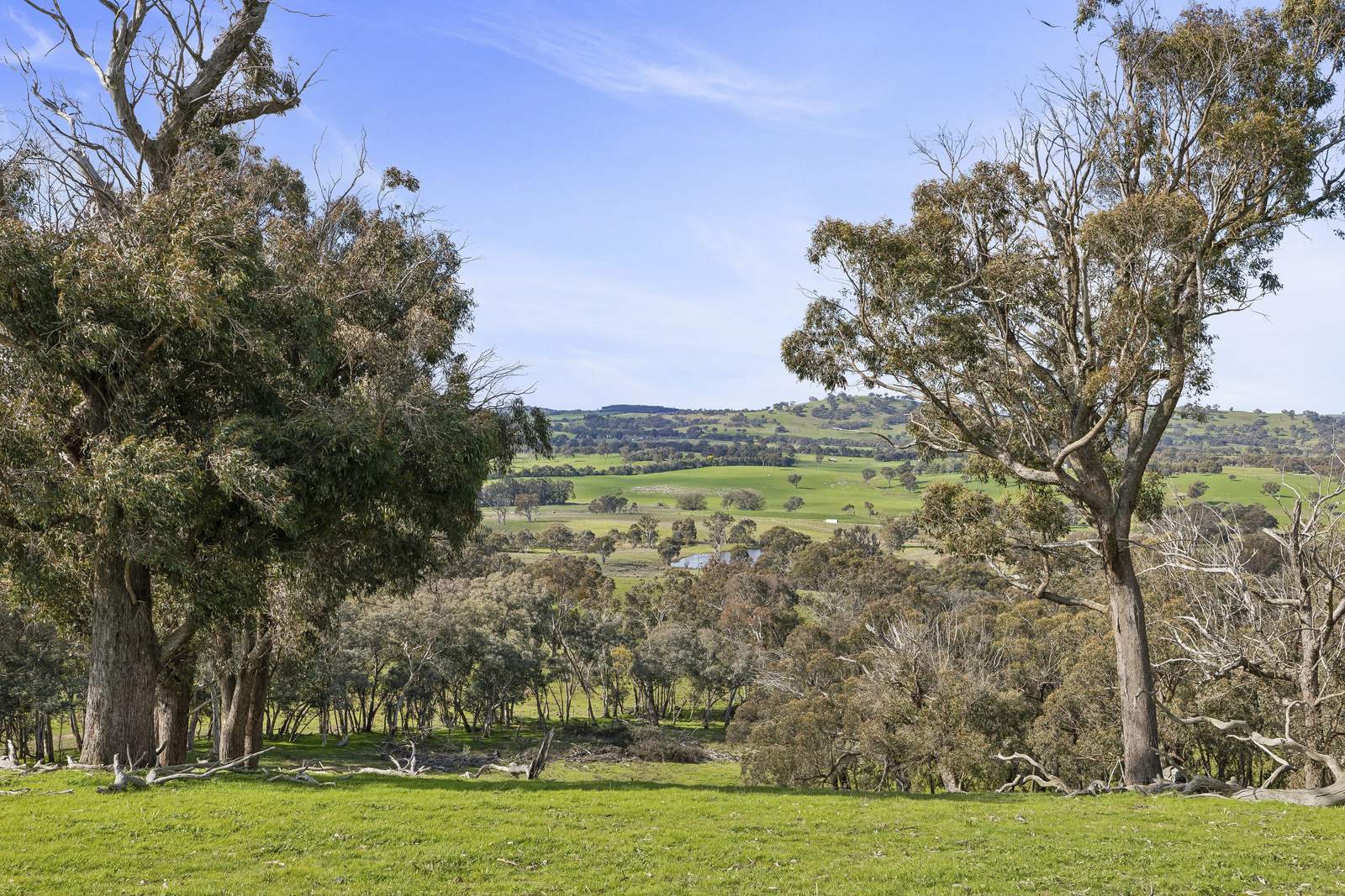 91 Walls Junction Road, Bowning For Sale by Farmbuy.com - image 24