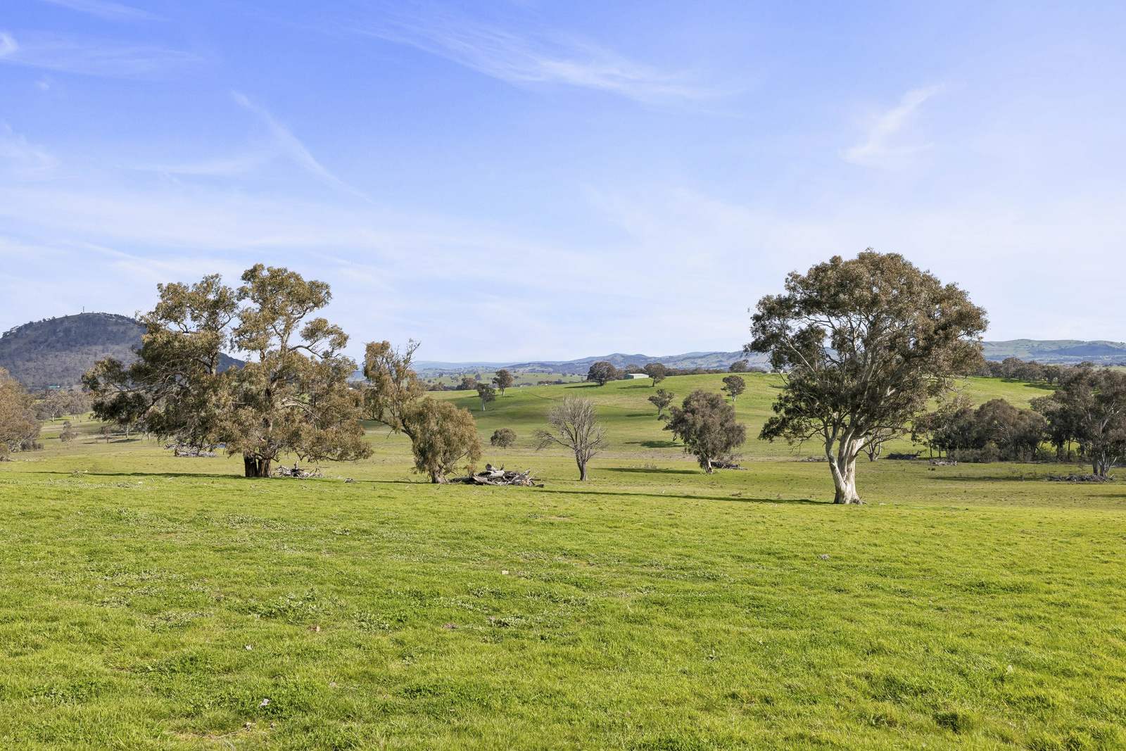 91 Walls Junction Road, Bowning For Sale by Farmbuy.com - image 28