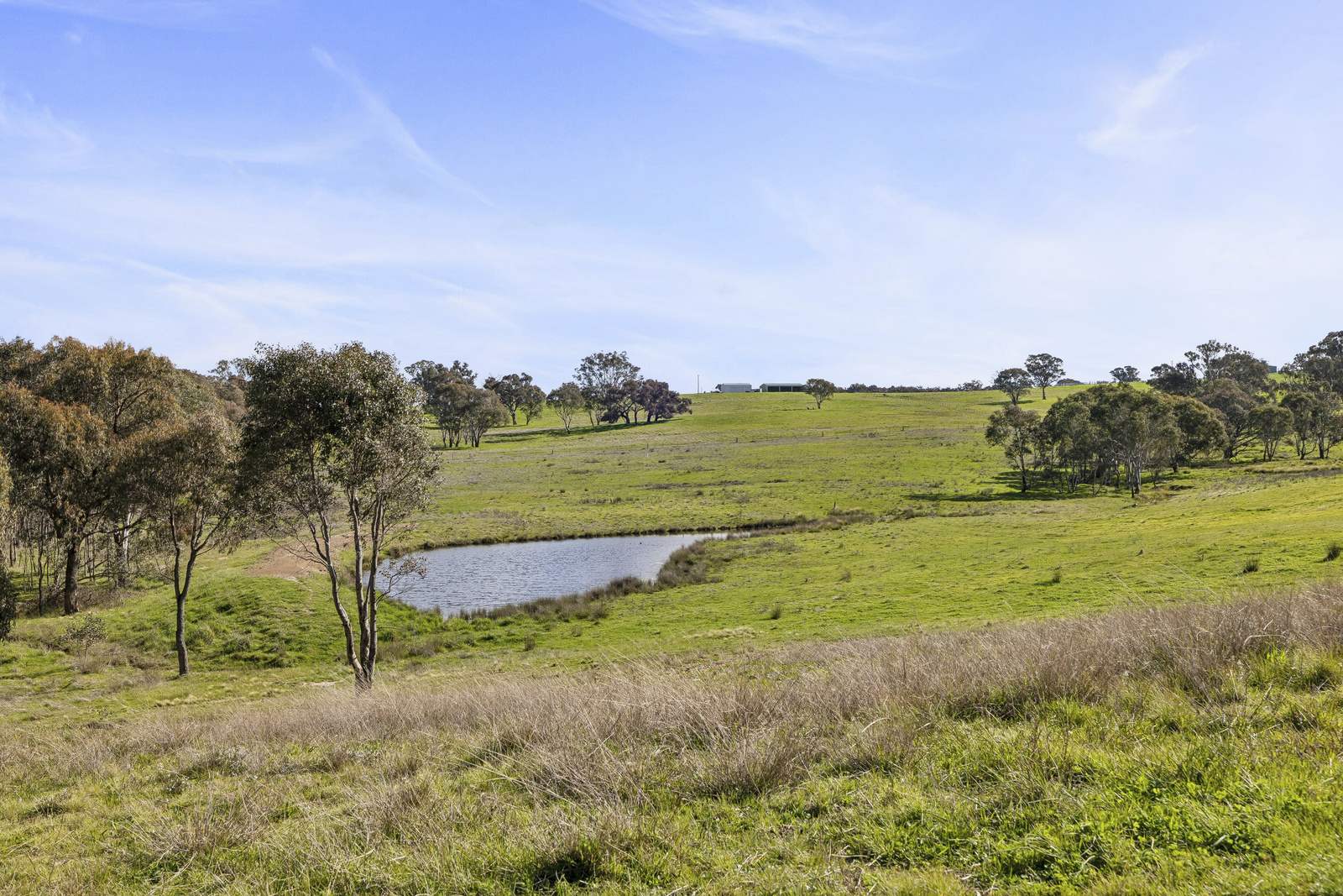 91 Walls Junction Road, Bowning For Sale by Farmbuy.com - image 25