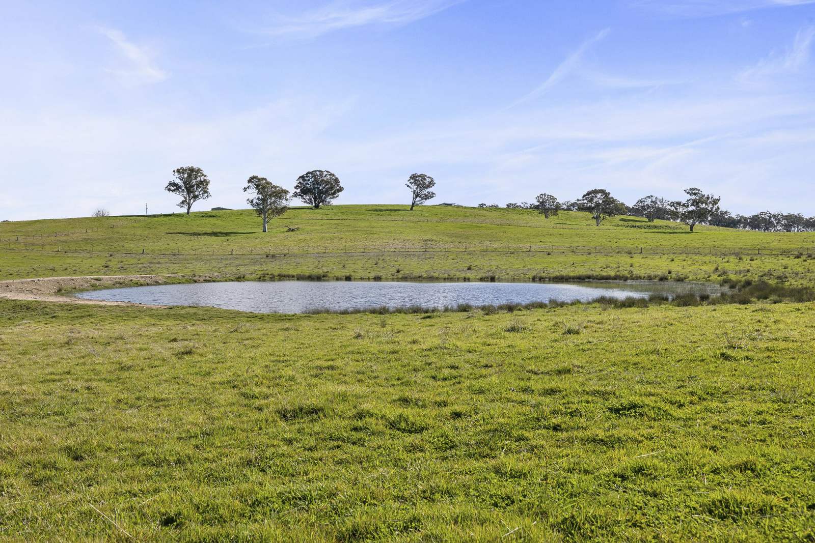 91 Walls Junction Road, Bowning For Sale by Farmbuy.com - image 32