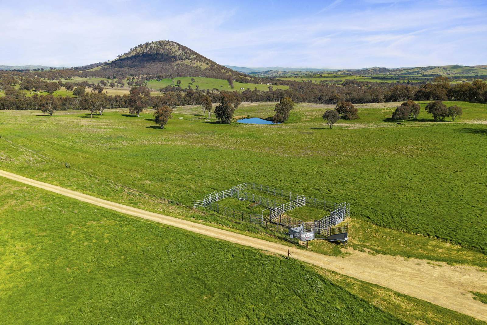 91 Walls Junction Road, Bowning For Sale by Farmbuy.com - image 22