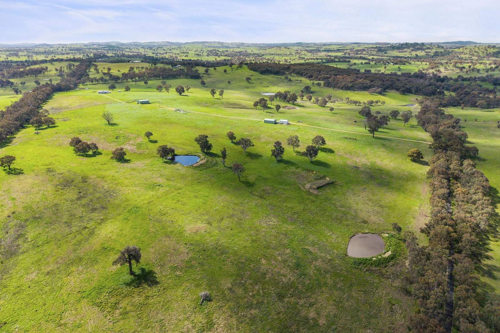 91 Walls Junction Road, Bowning For Sale by Farmbuy.com - image 29