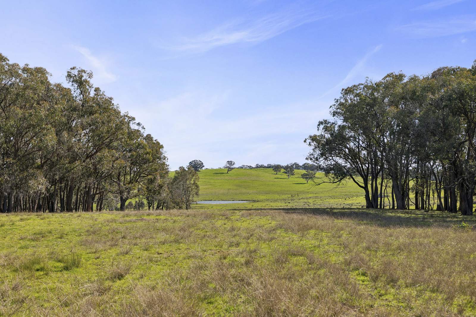91 Walls Junction Road, Bowning For Sale by Farmbuy.com - image 31