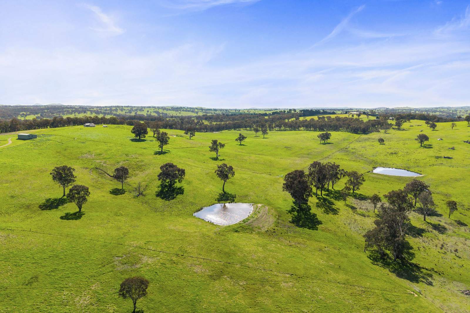91 Walls Junction Road, Bowning For Sale by Farmbuy.com - image 30