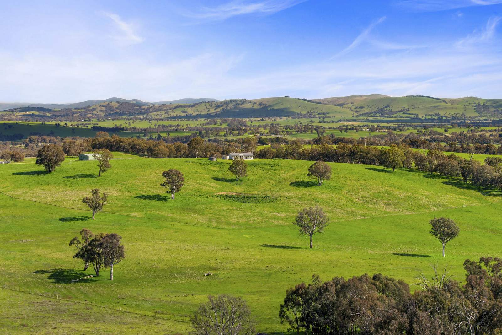 91 Walls Junction Road, Bowning For Sale by Farmbuy.com - image 1