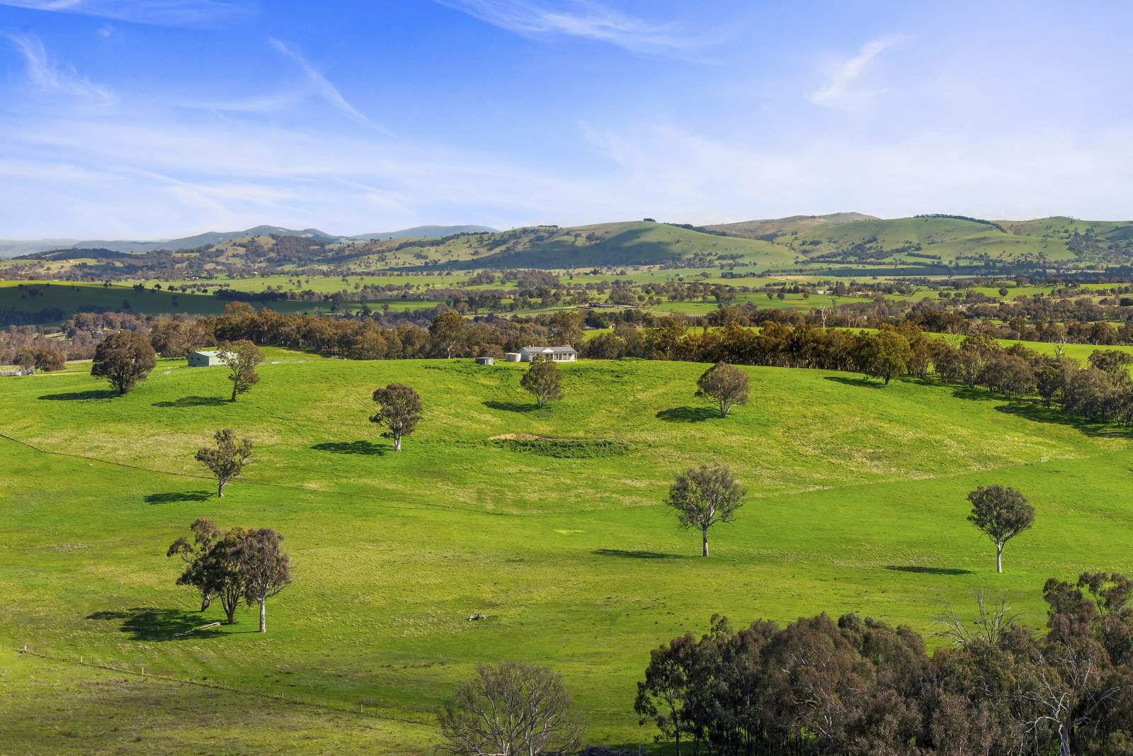 91 Walls Junction Road, Bowning For Sale by Farmbuy.com - image 26