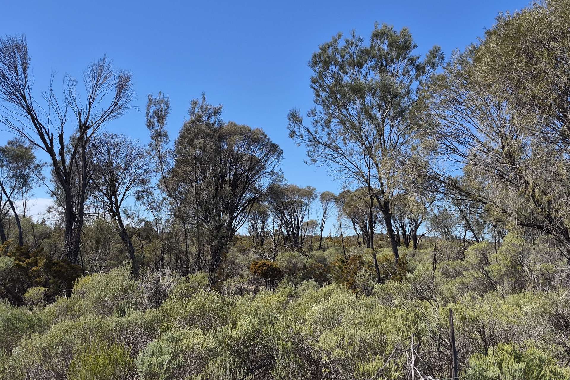 300 Launer Road, Eganu For Sale by Farmbuy.com - image 4