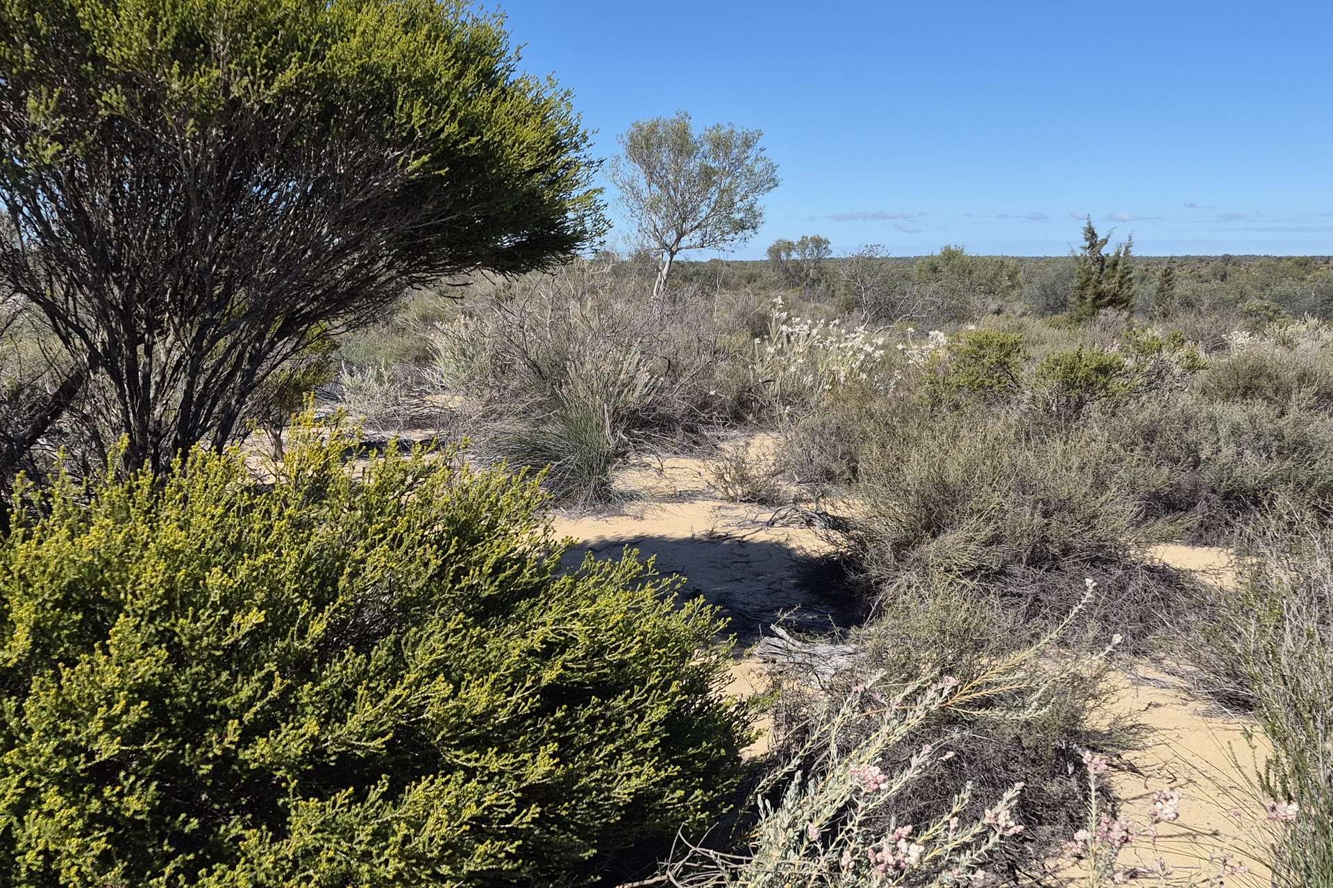 300 Launer Road, Eganu For Sale by Farmbuy.com - image 23