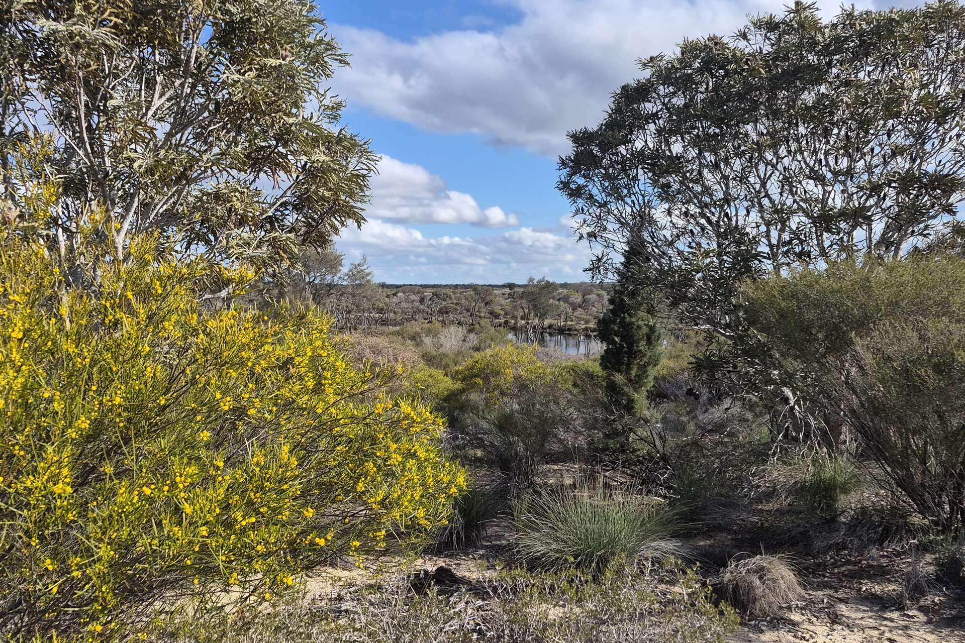 300 Launer Road, Eganu For Sale by Farmbuy.com - image 1