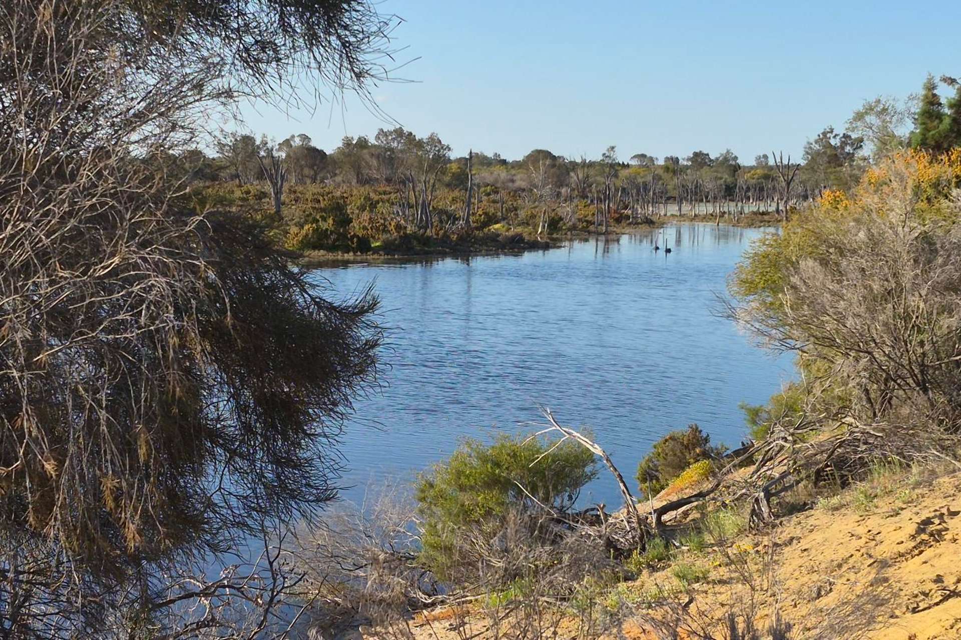 300 Launer Road, Eganu For Sale by Farmbuy.com - image 5