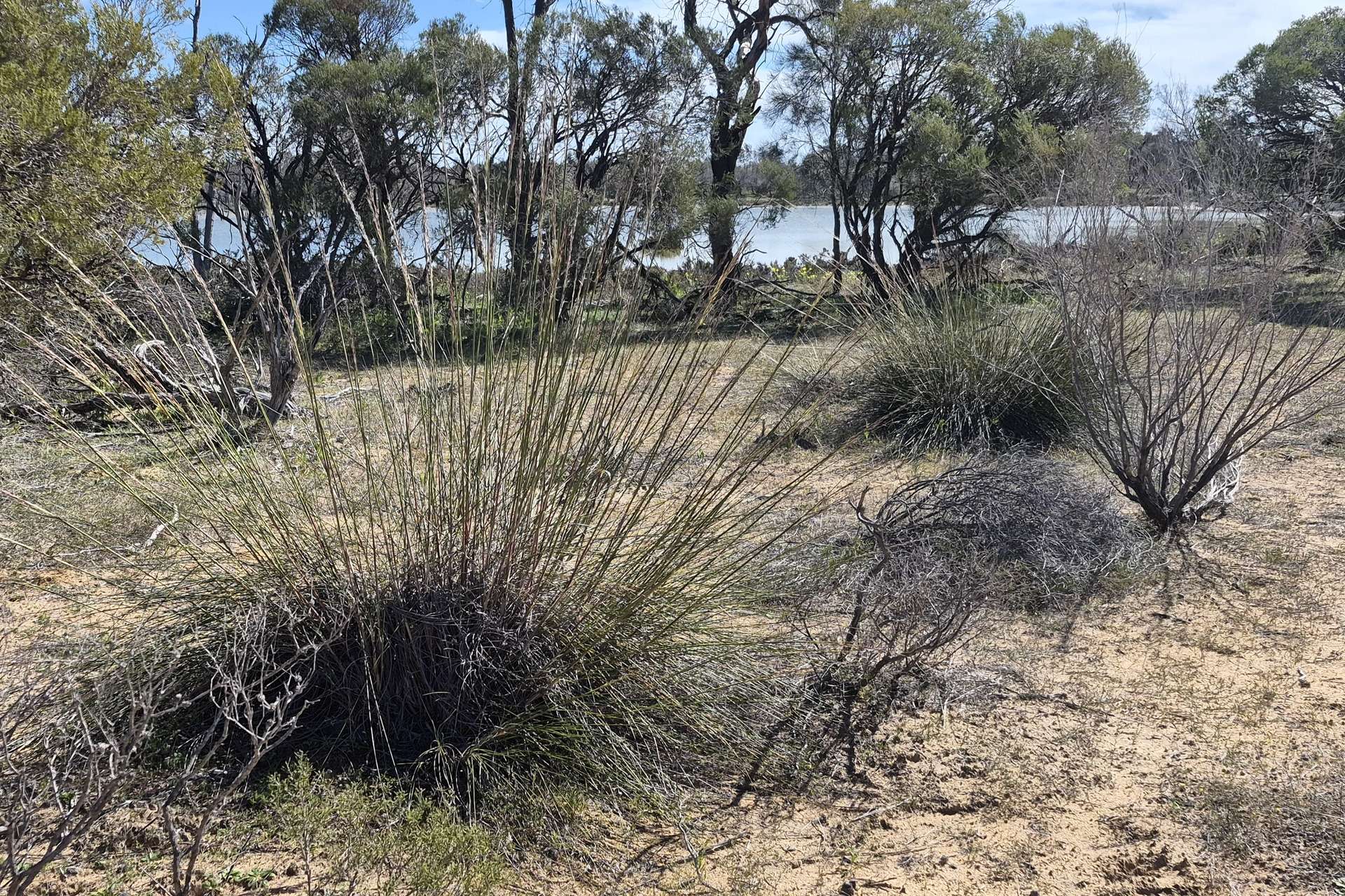 300 Launer Road, Eganu For Sale by Farmbuy.com - image 8