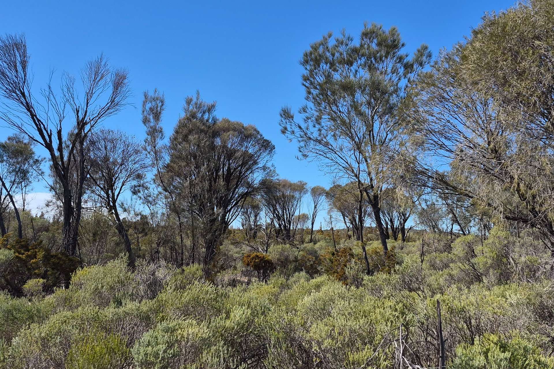 300 Launer Road, Eganu For Sale by Farmbuy.com - image 4