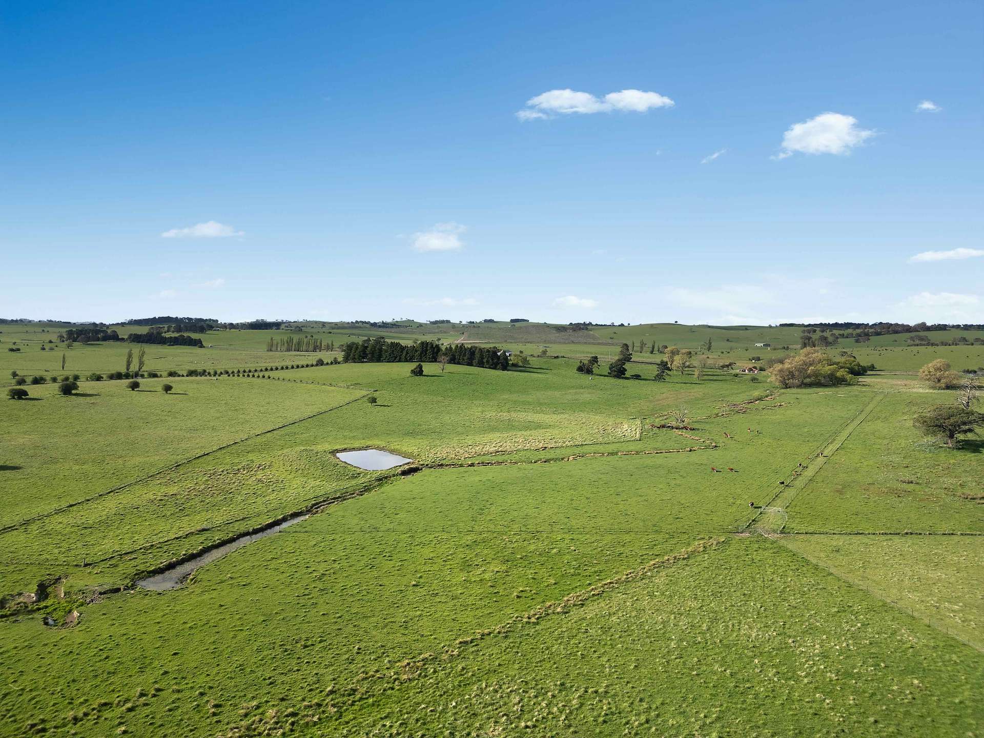 812 Guyong Road, Blayney For Sale by Farmbuy.com - image 31