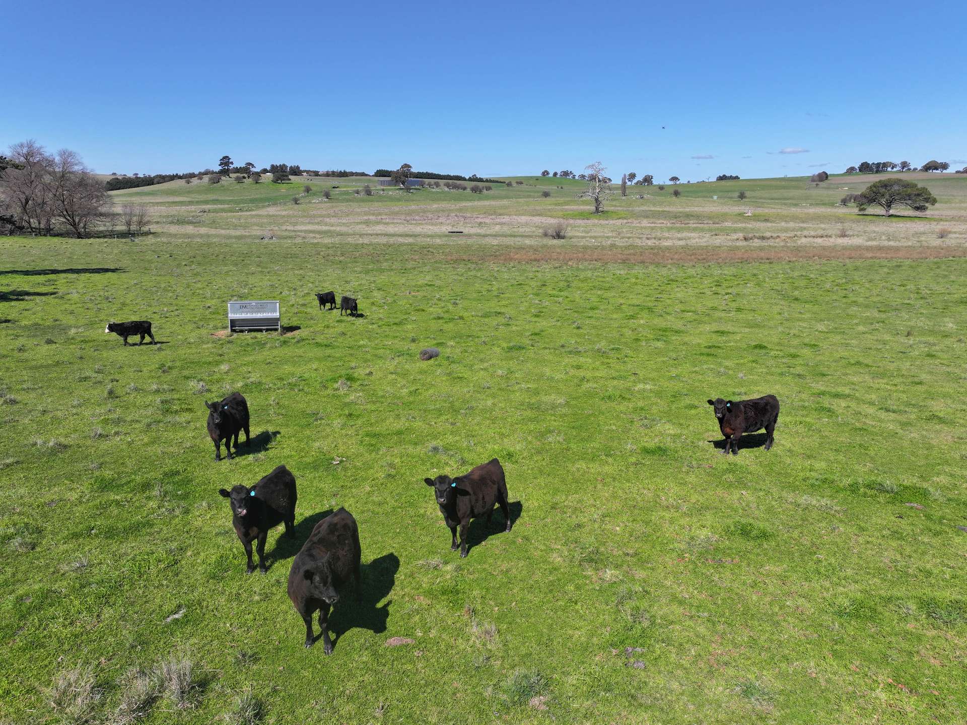 812 Guyong Road, Blayney For Sale by Farmbuy.com - image 6