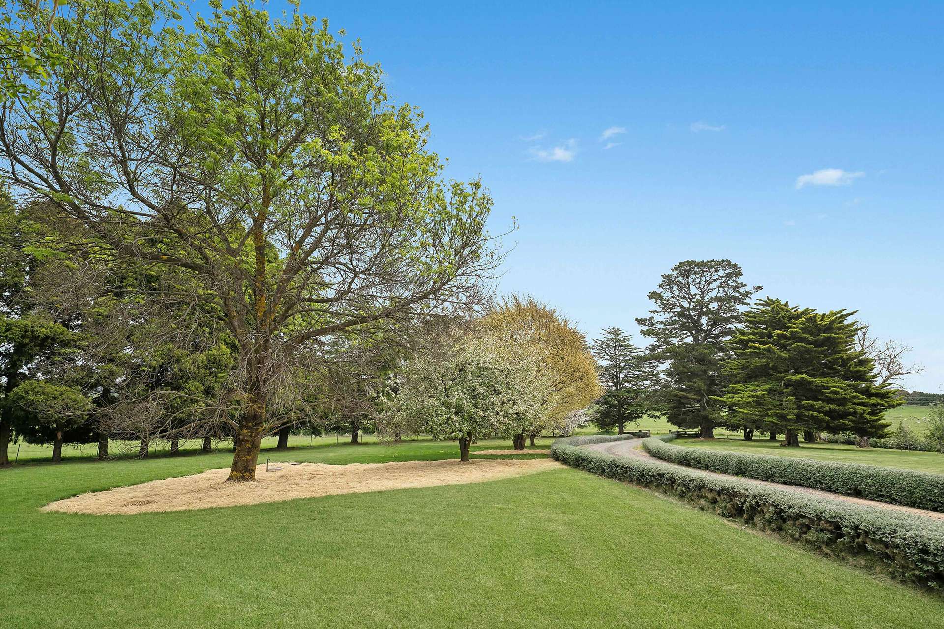 812 Guyong Road, Blayney For Sale by Farmbuy.com - image 26