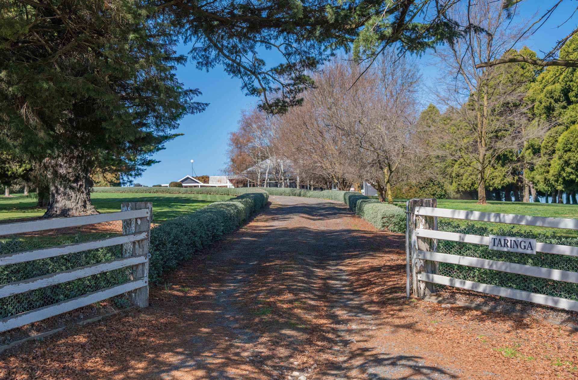 812 Guyong Road, Blayney For Sale by Farmbuy.com - image 4