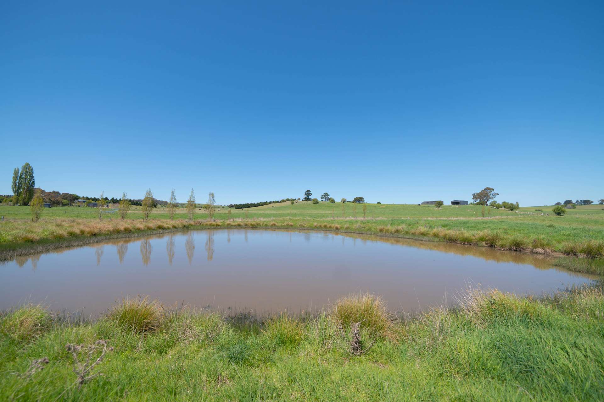 812 Guyong Road, Blayney Auction by Farmbuy.com - image 11