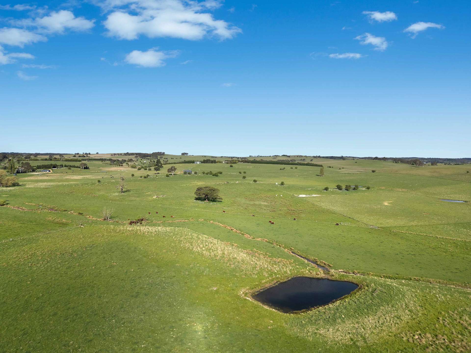 812 Guyong Road, Blayney For Sale by Farmbuy.com - image 5