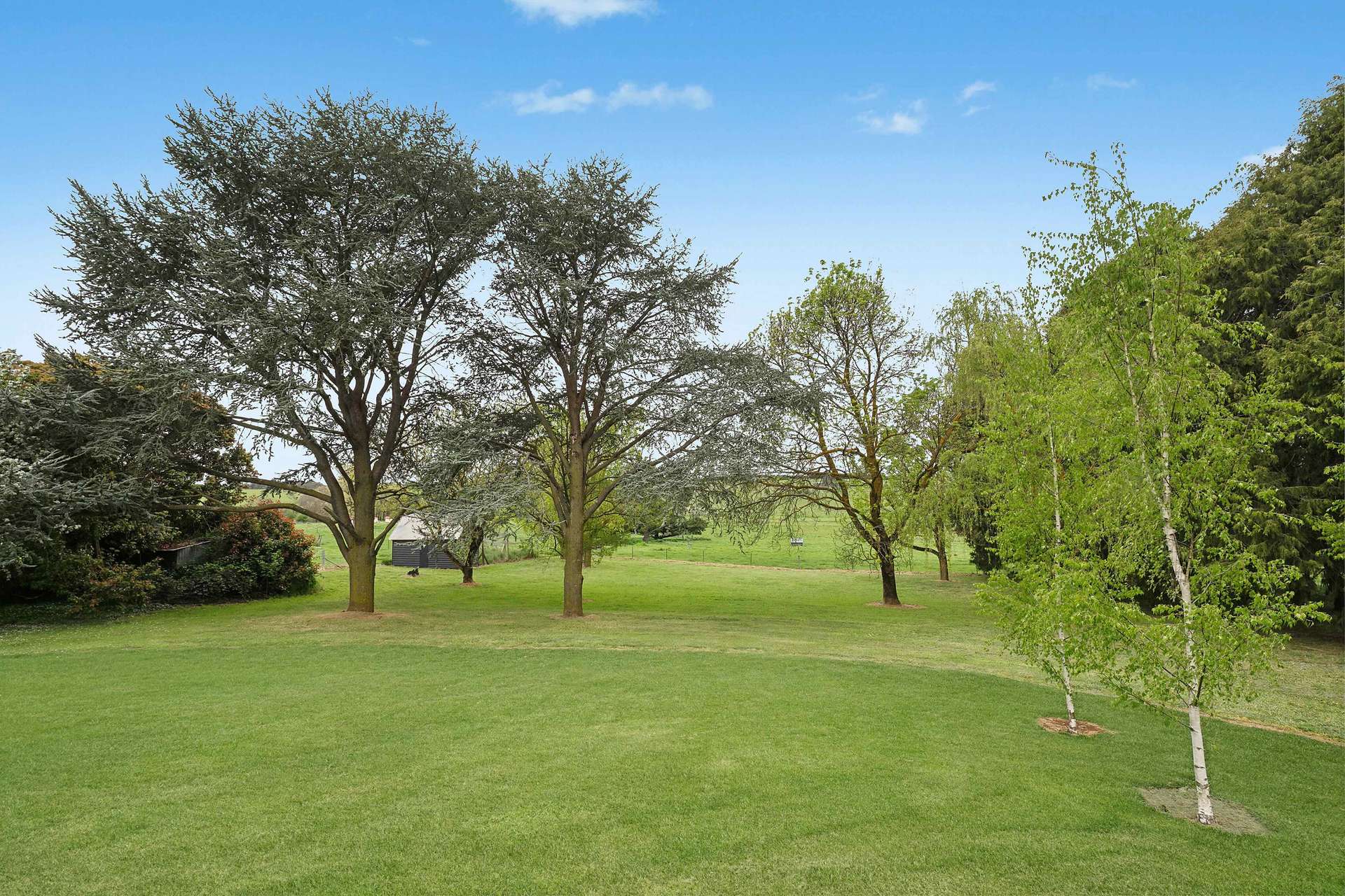 812 Guyong Road, Blayney For Sale by Farmbuy.com - image 30