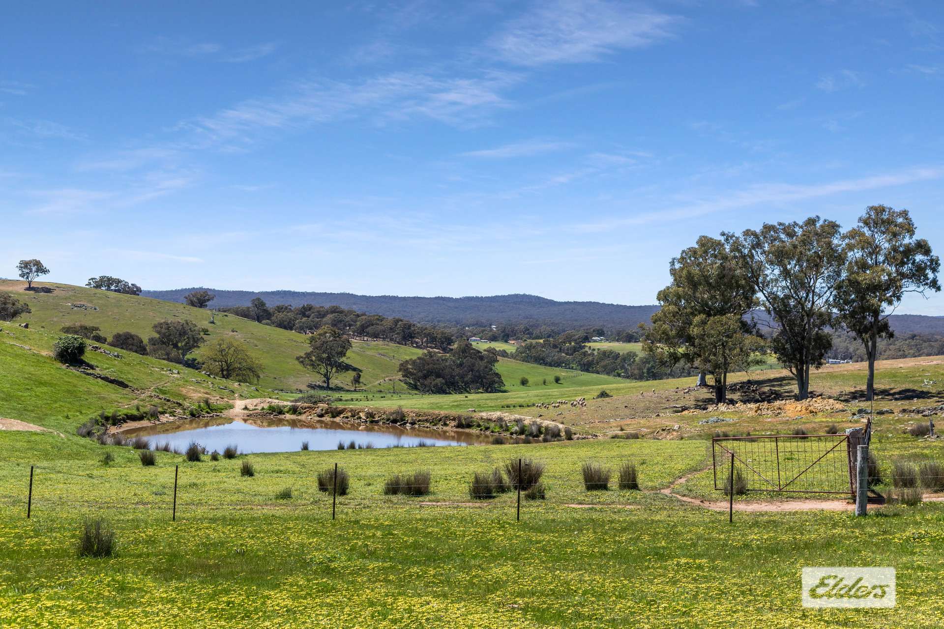 59 Stuchbree Road, Yapeen For Sale by Farmbuy.com - image 28