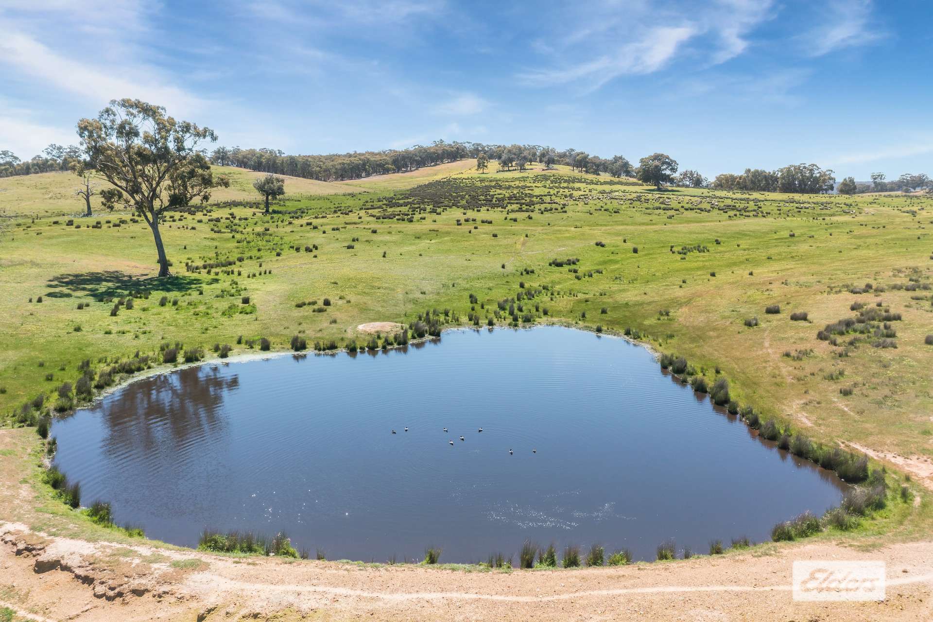 59 Stuchbree Road, Yapeen For Sale by Farmbuy.com - image 29