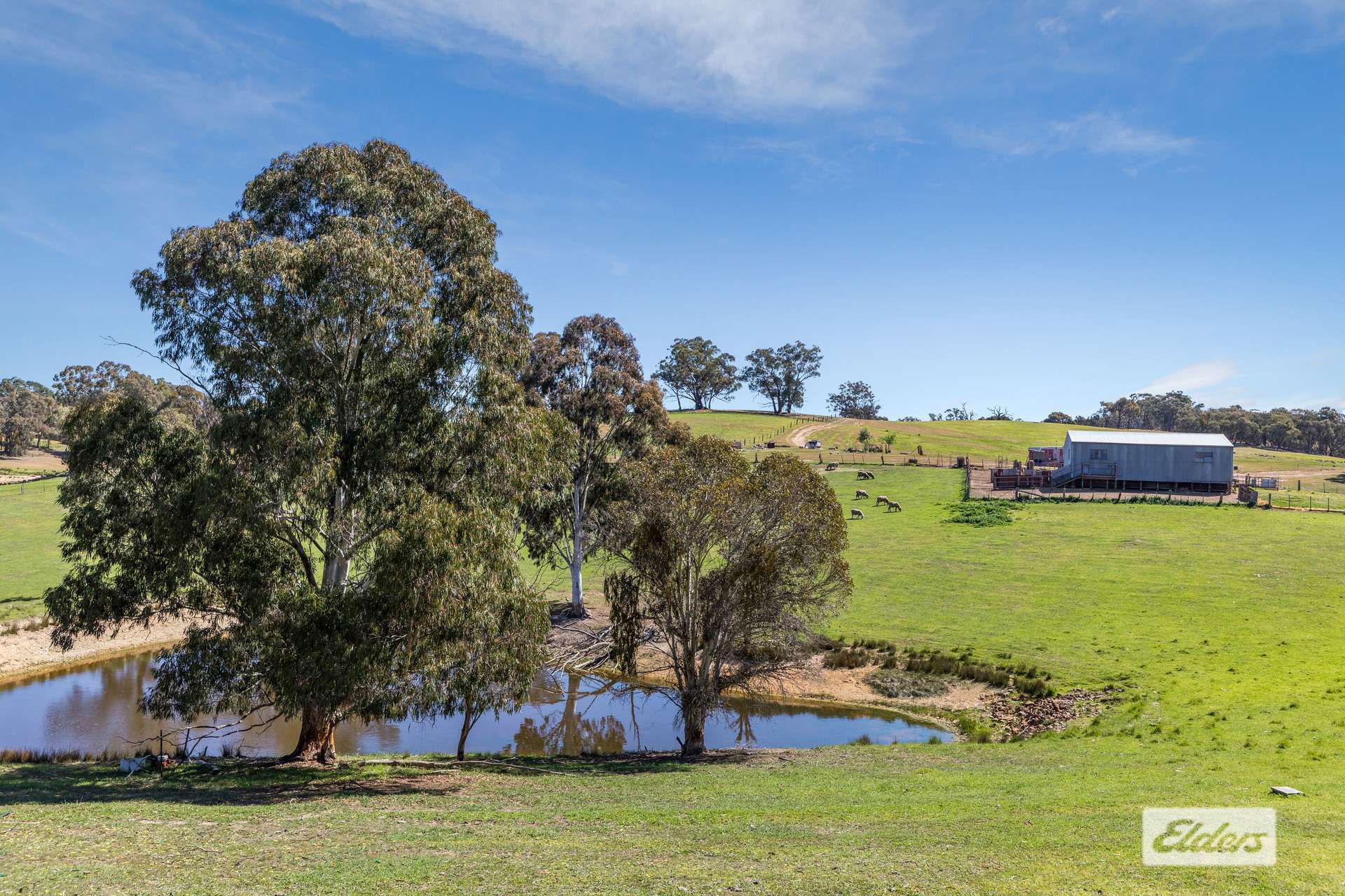 59 Stuchbree Road, Yapeen For Sale by Farmbuy.com - image 21