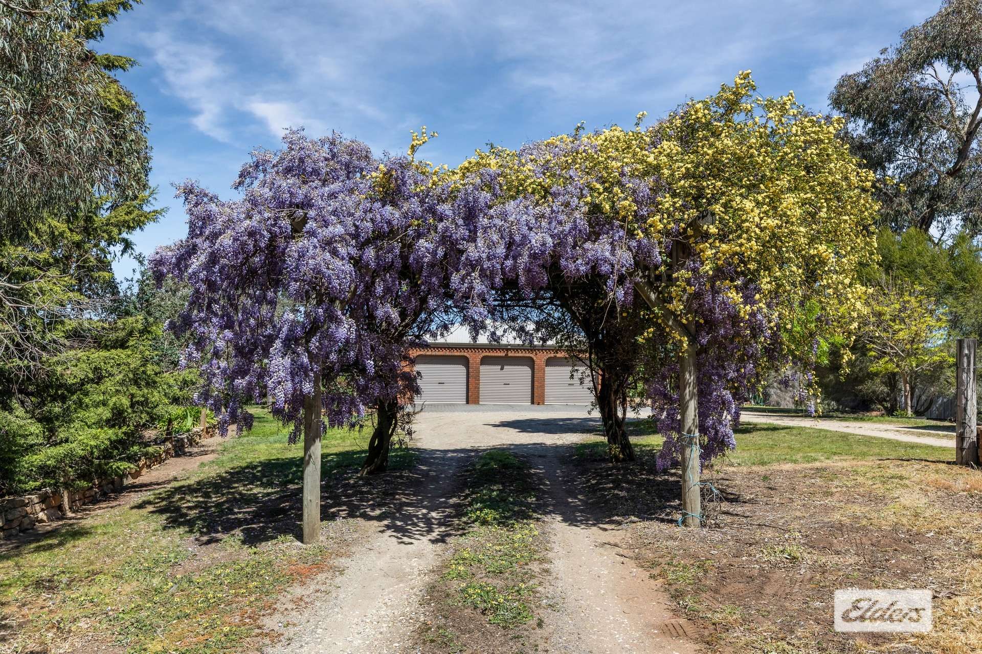 59 Stuchbree Road, Yapeen For Sale by Farmbuy.com - image 5
